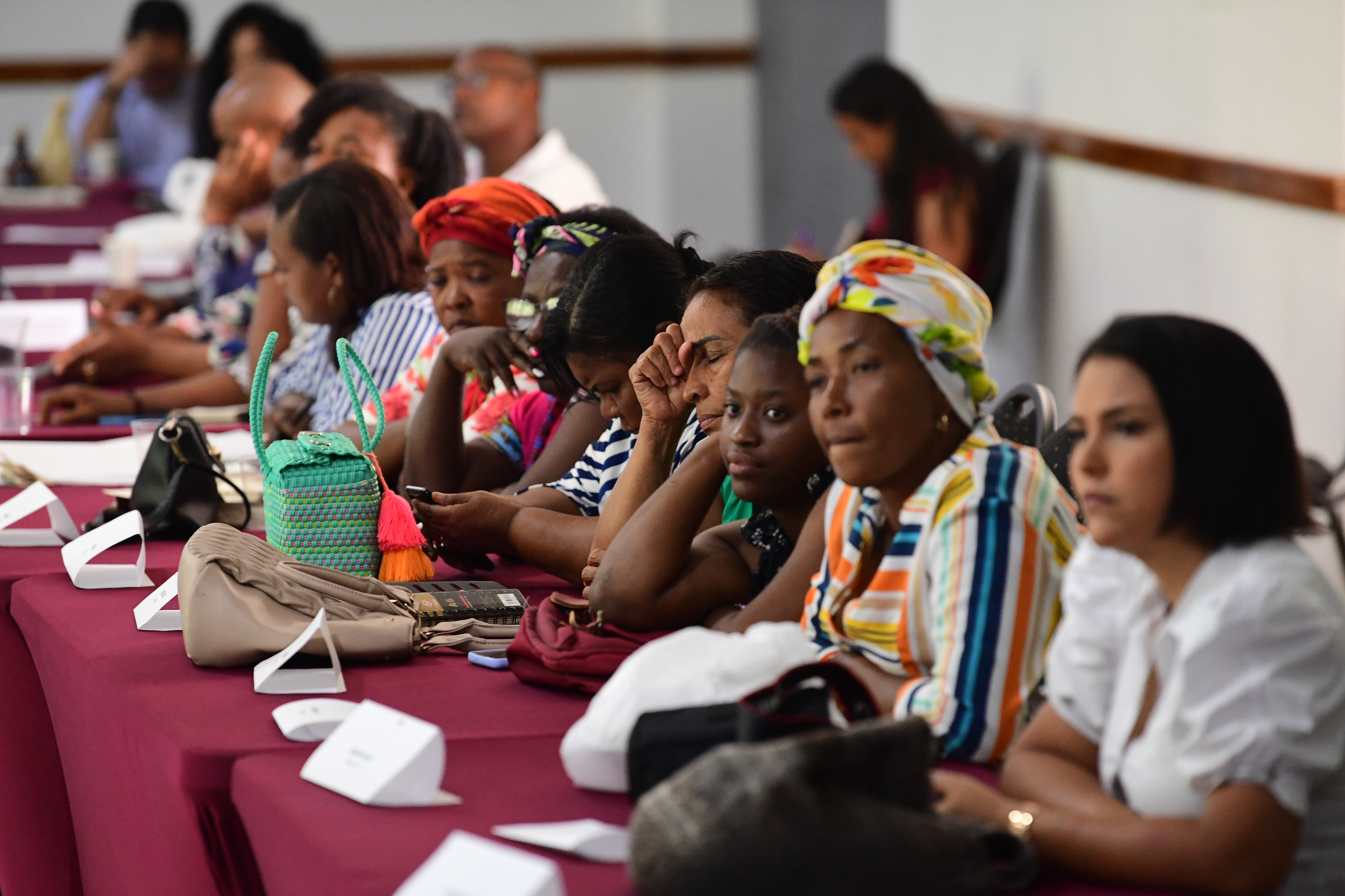 Justicia inclusiva - Pueblos indígenas y afros