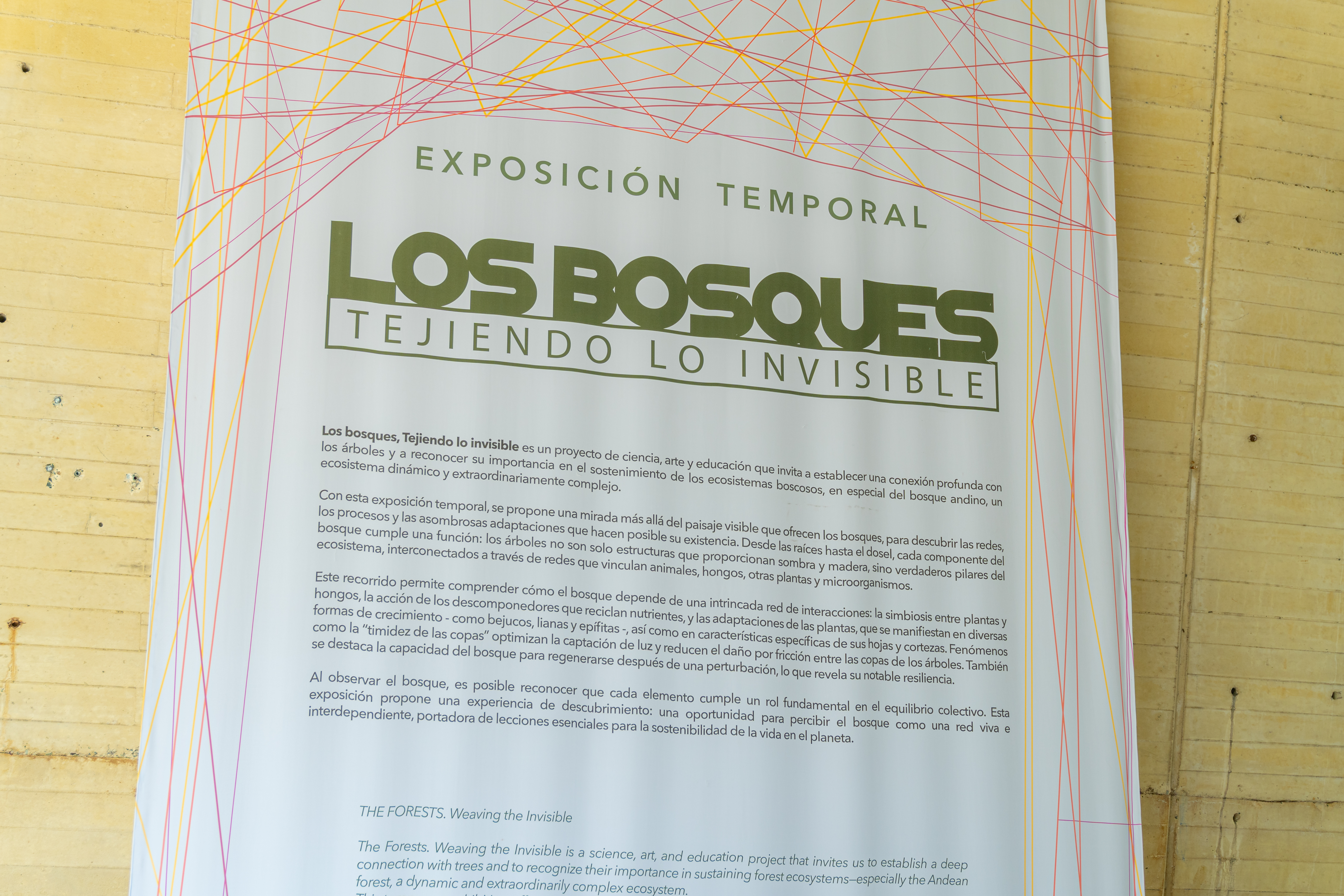 Es un recorrido que resalta la importancia y belleza de los ecosistemas forestales.