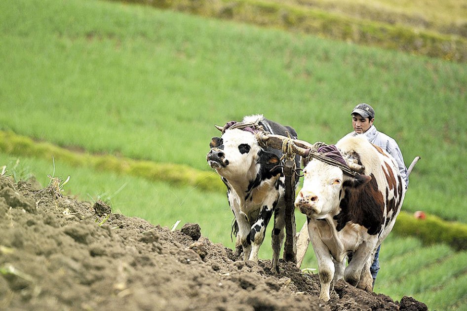 Agricultores, preocupados por la reforma tributaria