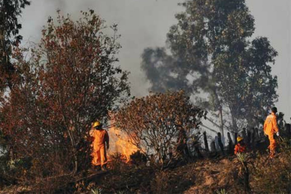 Decretan calamidad pública en California, Santander, por incendio forestal