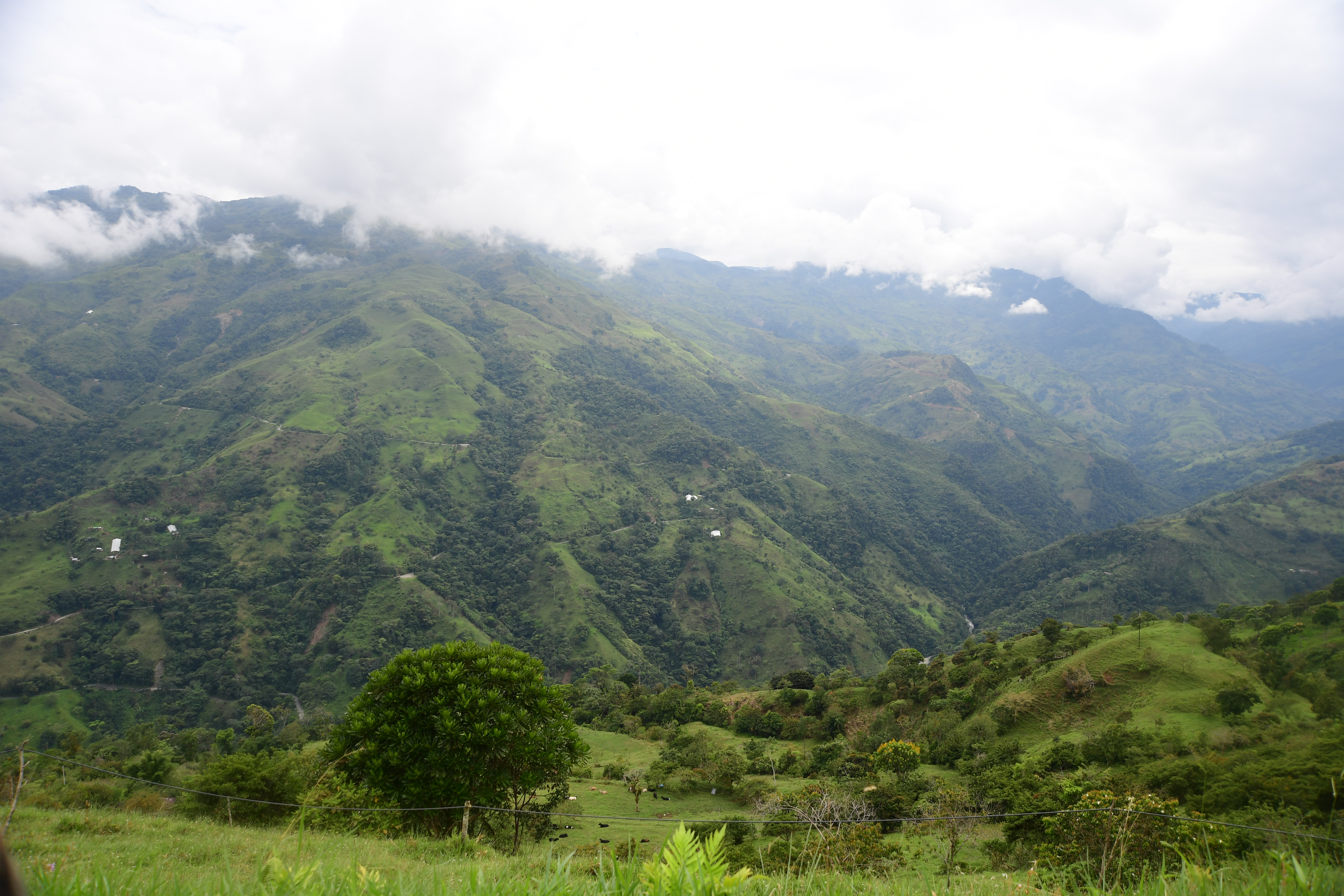 Combates entre Ejército y Clan del Golfo en Briceño, Antioquia