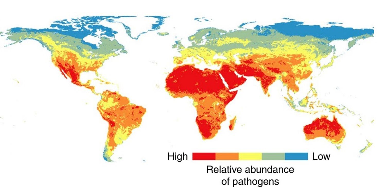 Mapa de la distribución actual de las mayores concentraciones de patógenos. Los colores más rojizos muestran las zonas con más abundancia de estos.