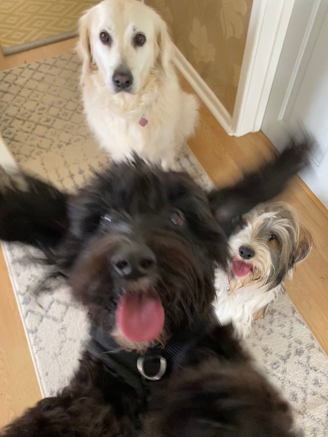 Bailey estaba tan emocionada de ver a sus amigos que no podía quedarse quieta para una foto. Otra de las fotos más comentadas del concurso.