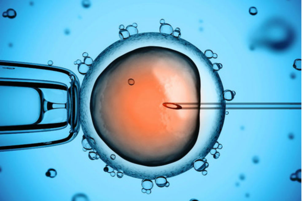 China abre investigación sobre bebés genéticamente modificados