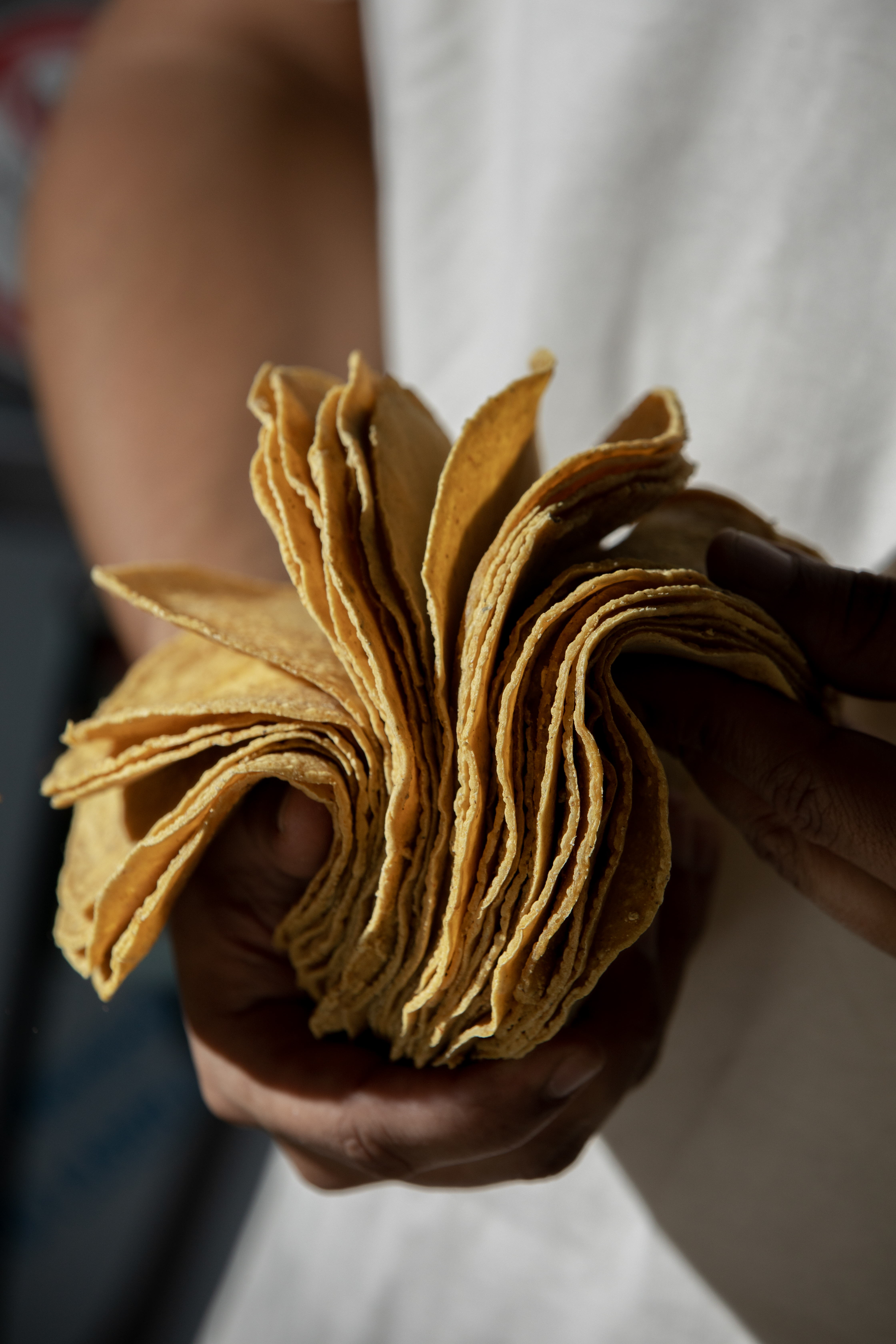 Tortillas Tacaloa