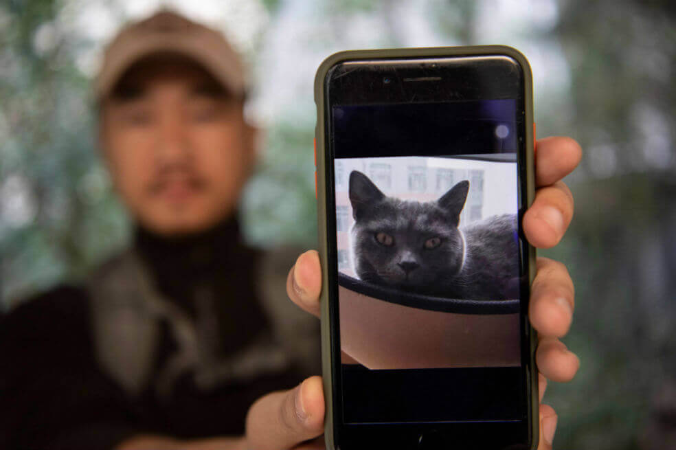 Por el coronavirus abandonaron a las mascotas en Wuhan y ahora buscan quién las ayude