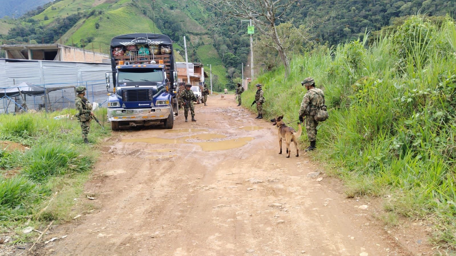 Seguridad y paz: mentiras y verdades a medias (Análisis)