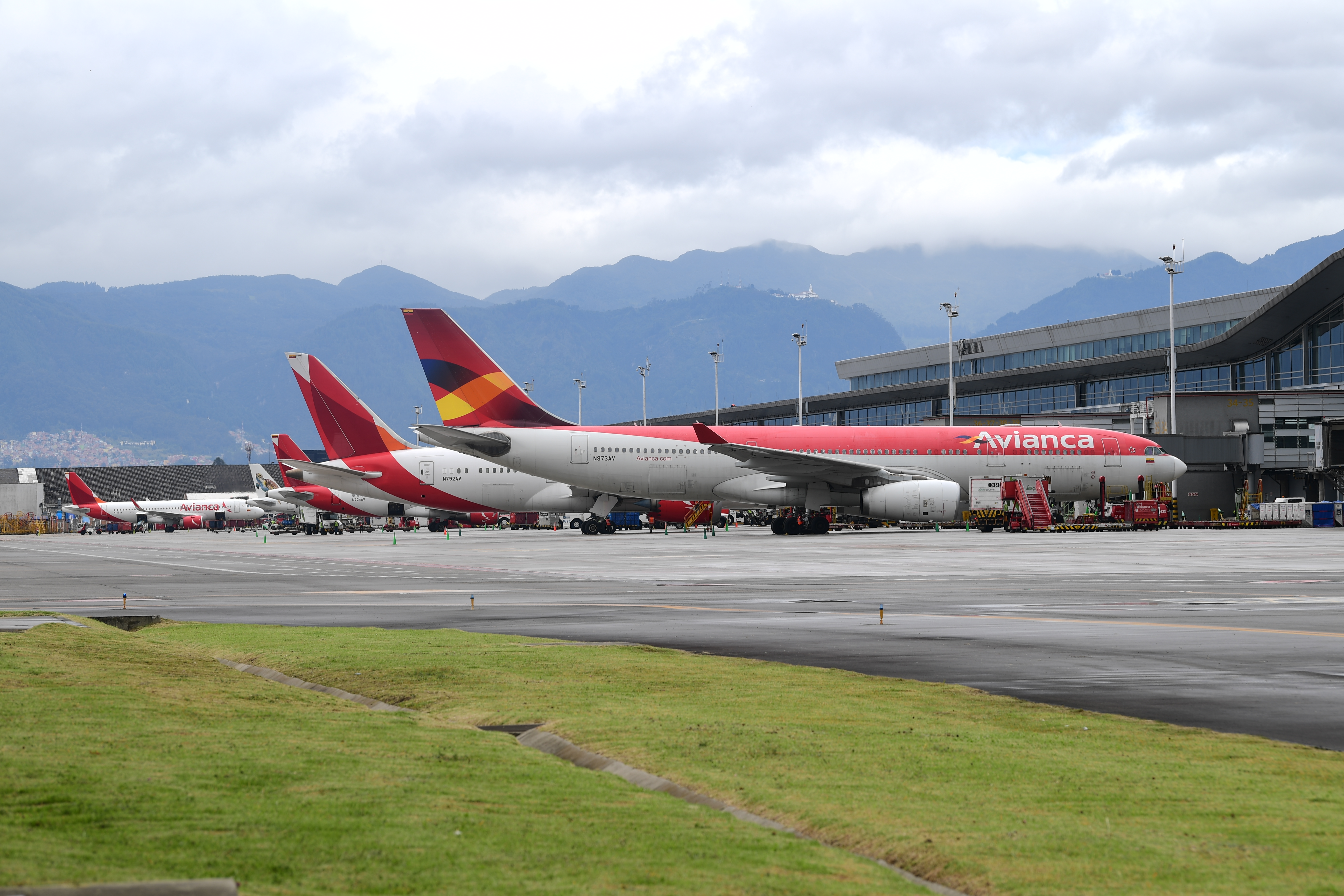 Avianca aumentará sus frecuencias en más de 13 ciudades de Colombia