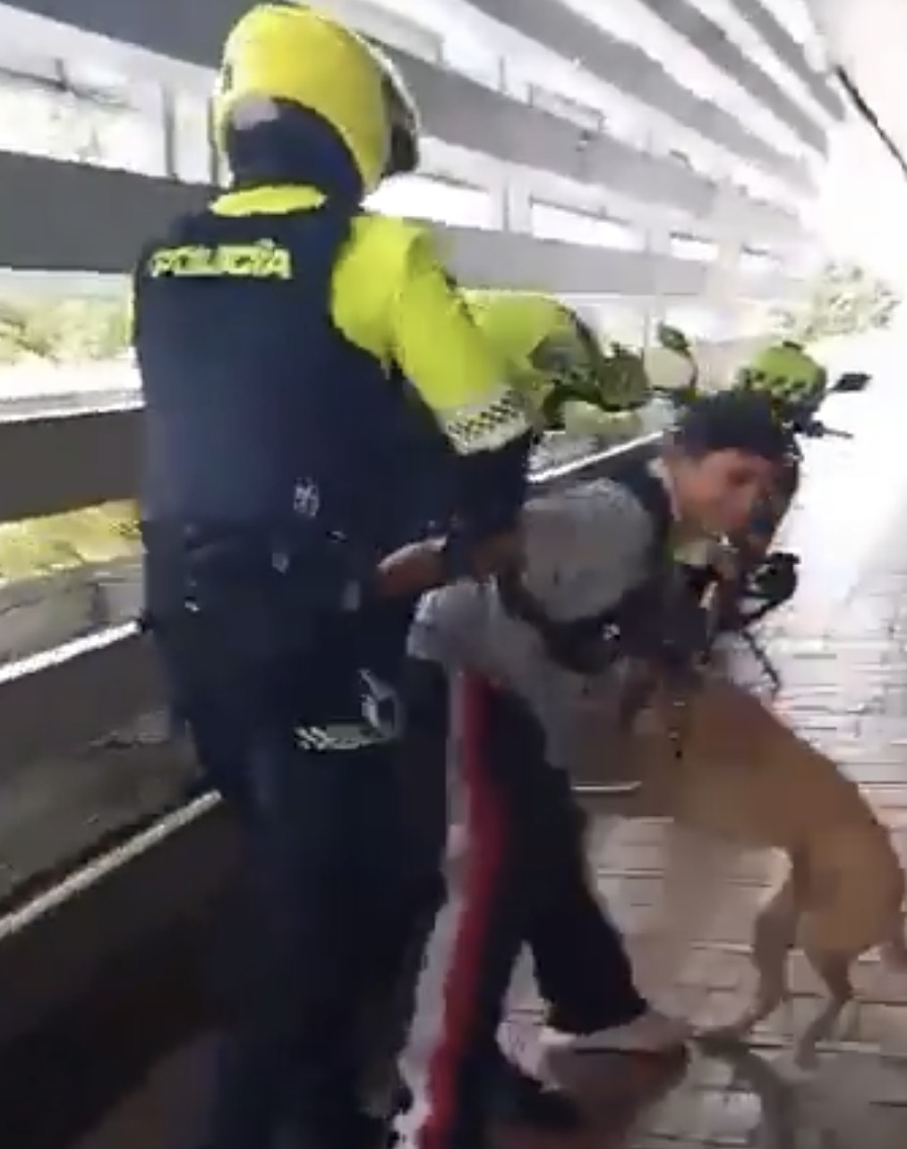 En video: procedimiento policial a músico callejero desata polémica en Bogotá