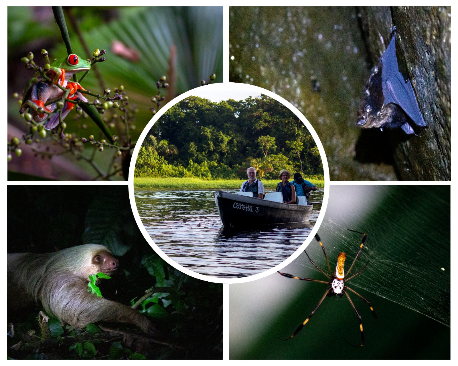 Una ruta en Costa Rica para adentrarse en su biodiversidad