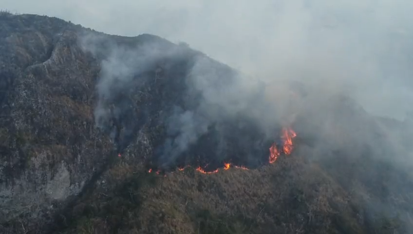 Incendio en Providencia: emergencia ambiental es alertada por la Procuraduría
