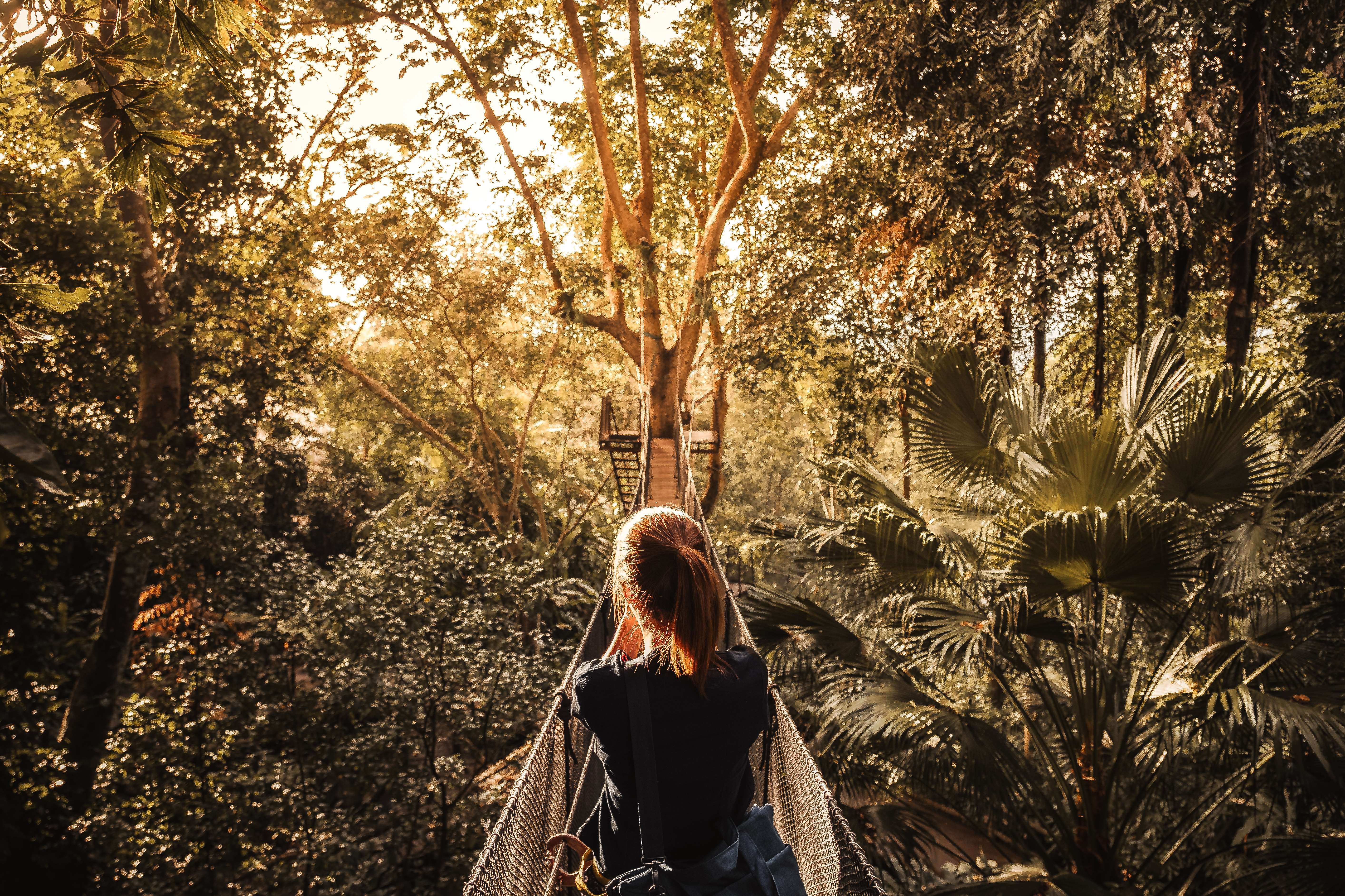 La selva amazónica es un destino imperdible para quienes buscan adrenalina y conexión con la naturaleza.