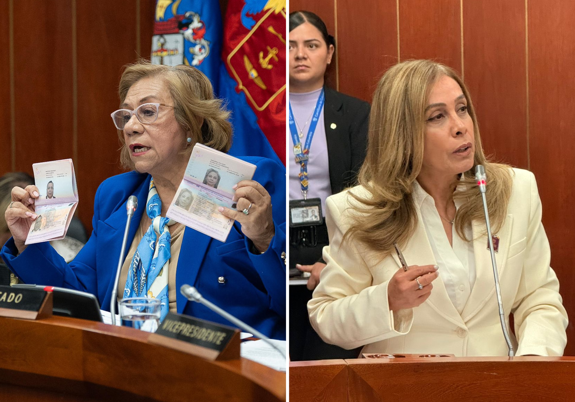 Nuevo pasaporte avanza en medio de cuestionamientos: hubo tenso debate de control político