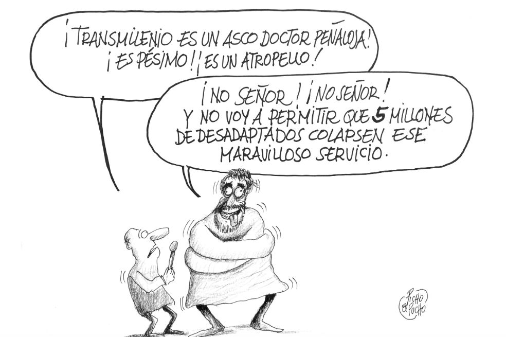 Paso a paso