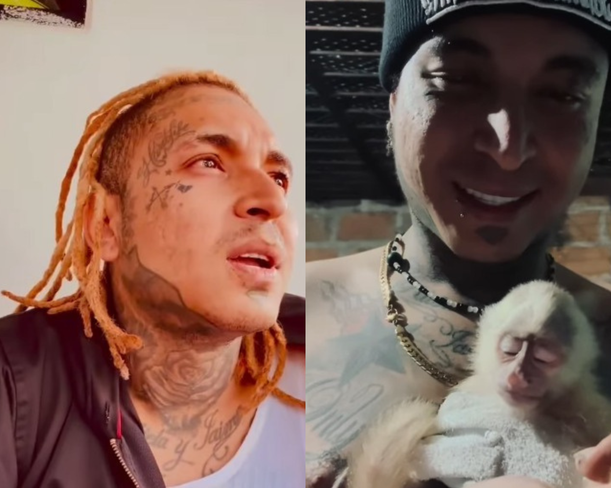 Habla desde la cárcel Rapza, actor de la Reina de Flow acusado por maltrato animal