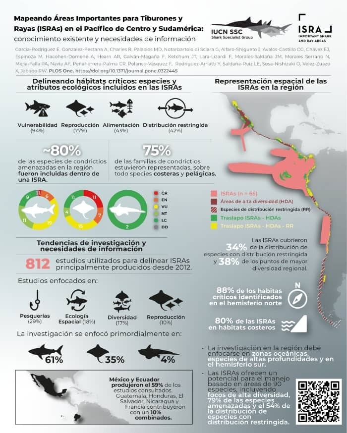 Más de un tercio de las rayas, tiburones y quimeras del mundo están en peligro de extinción, según la UICN.