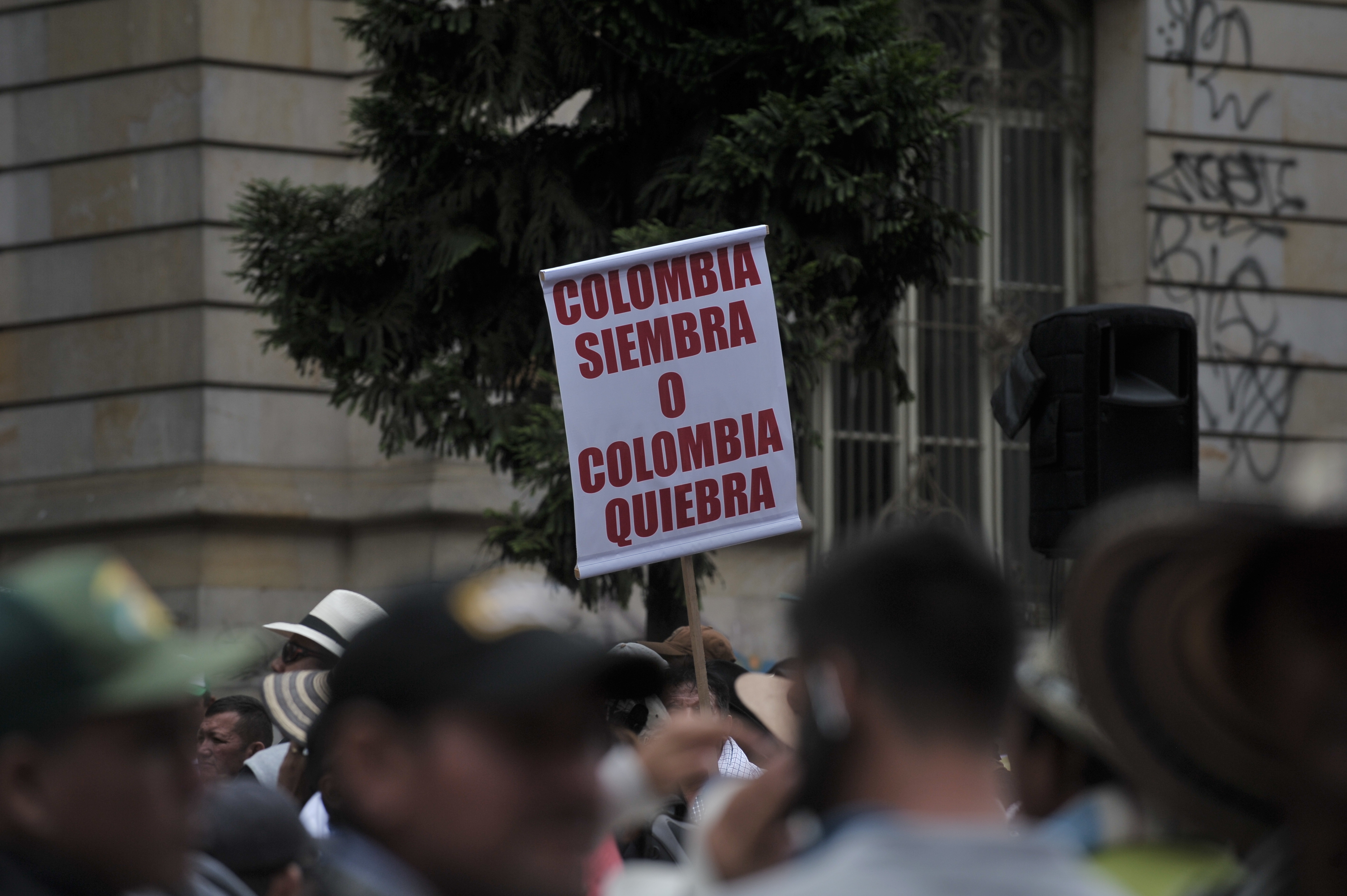 Paro arrocero: los productores volverán a protestar porque producir no es rentable