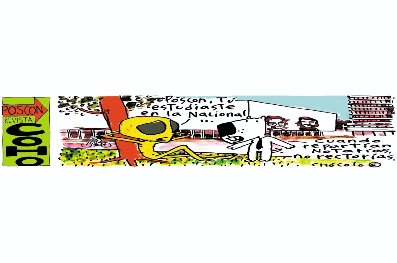 Revista CoHo