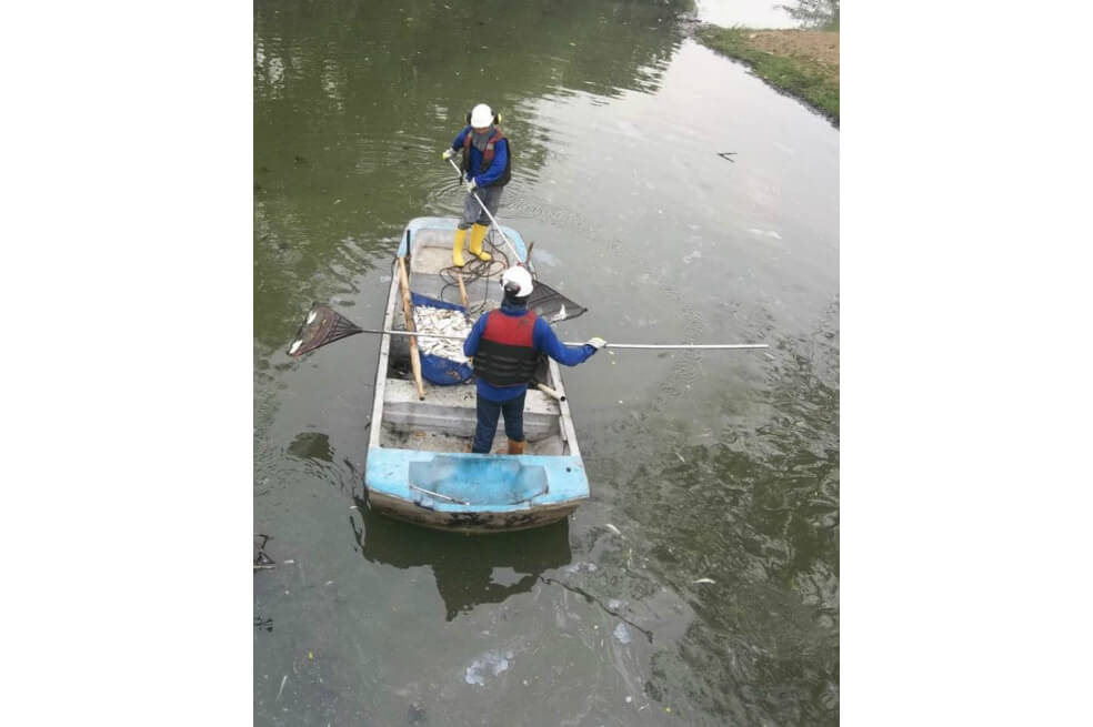 Comunidad denuncia mortandad de peces y aves en Barrancabermeja