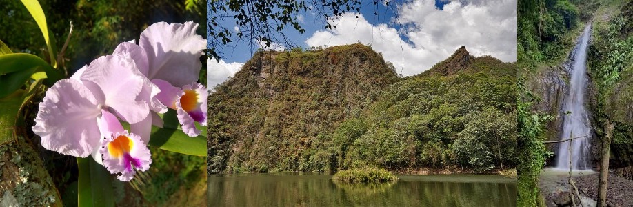 4 planes cerca a Bogotá: ¿Qué se puede hacer en La Vega, Cundinamarca?