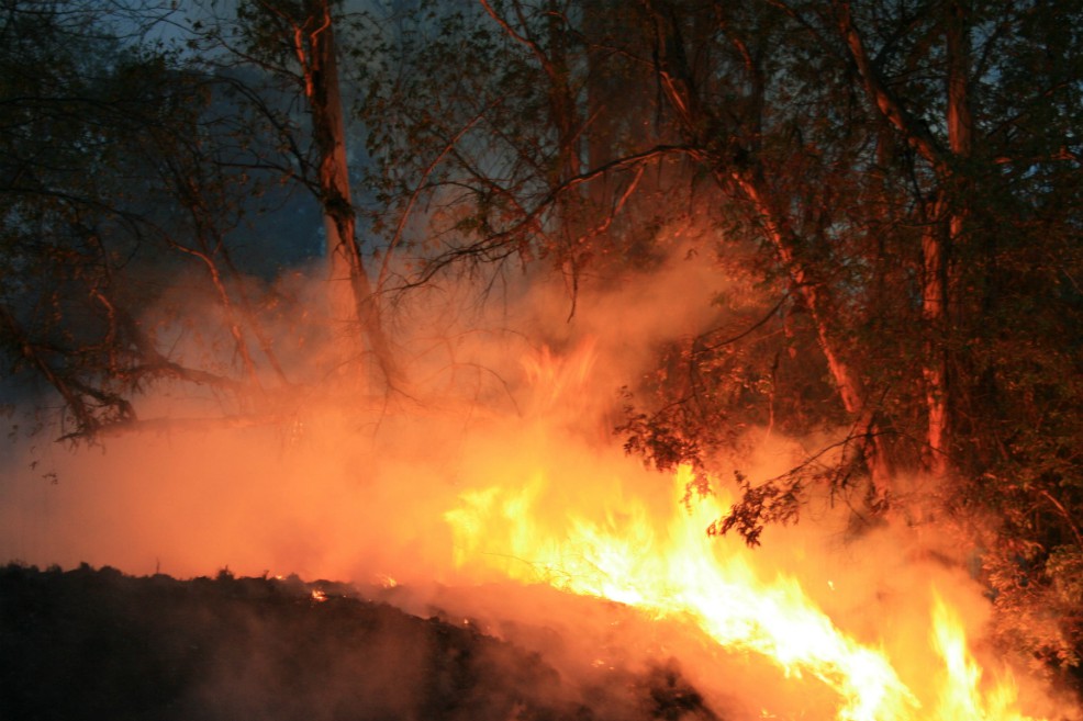 Declaran desastre nacional en Bolivia por incendios forestales
