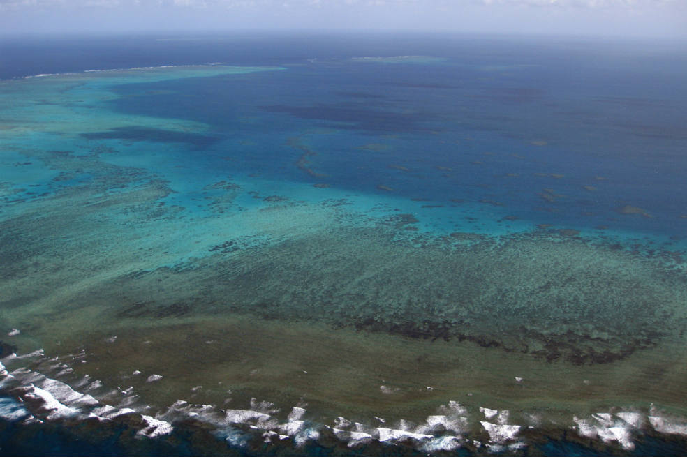 Gran Barrera de Coral, bajo amenaza