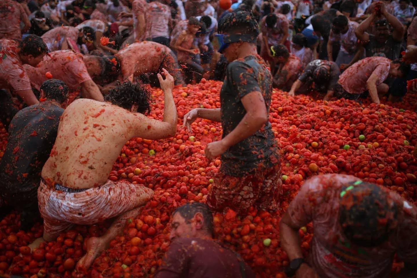 Gran Tomatina Colombiana en Sutamarchán 2026: fechas, programación y todo lo que debe saber