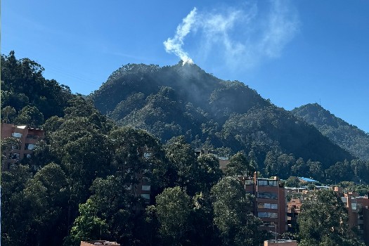 Incendio forestal en los cerros orientales de Bogotá: ¿por qué se producen?