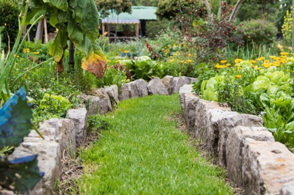 Libro de Jardinería Urbana de Bogotá será presentado este 20 de agosto