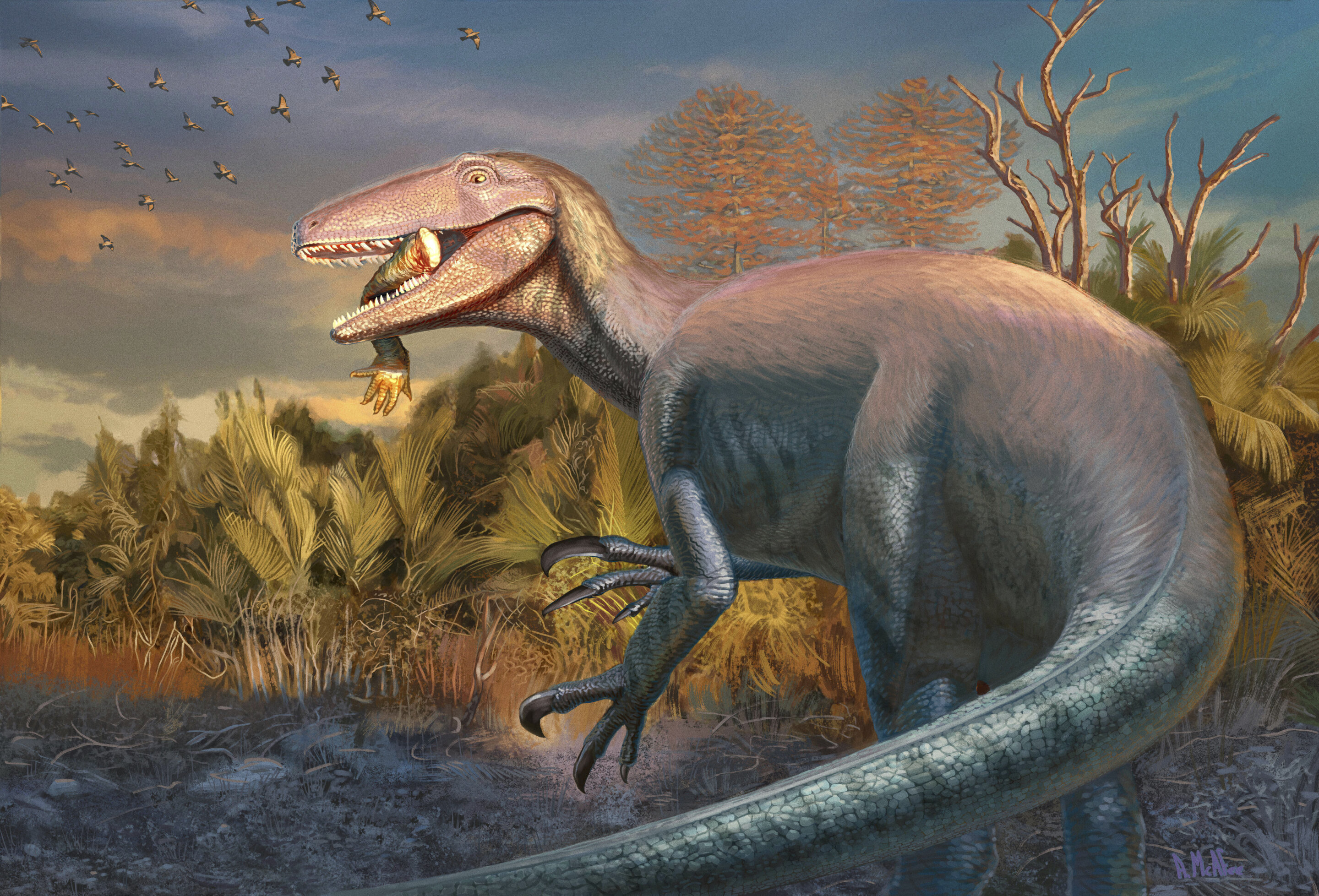 Descubren un gran dinosaurio carnívoro en Argentina con restos de su última comida
