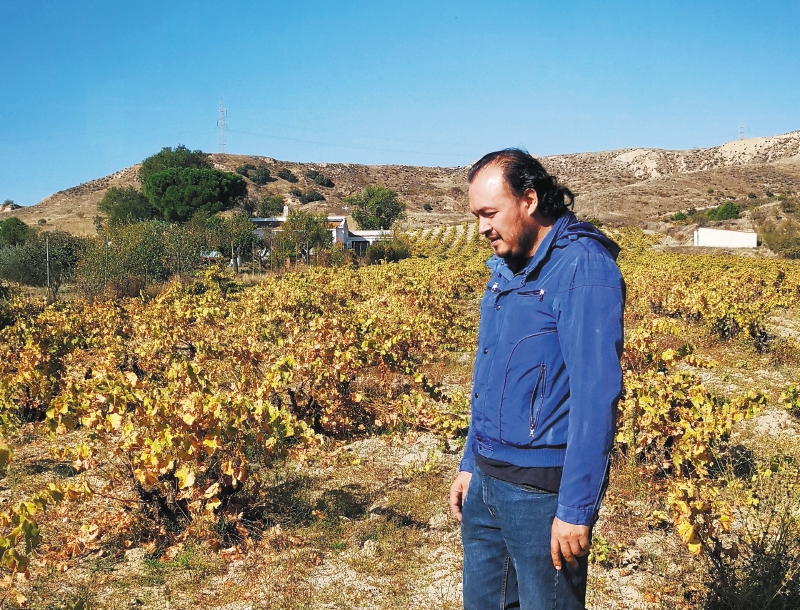 El quijote colombiano de los vinos de Madrid