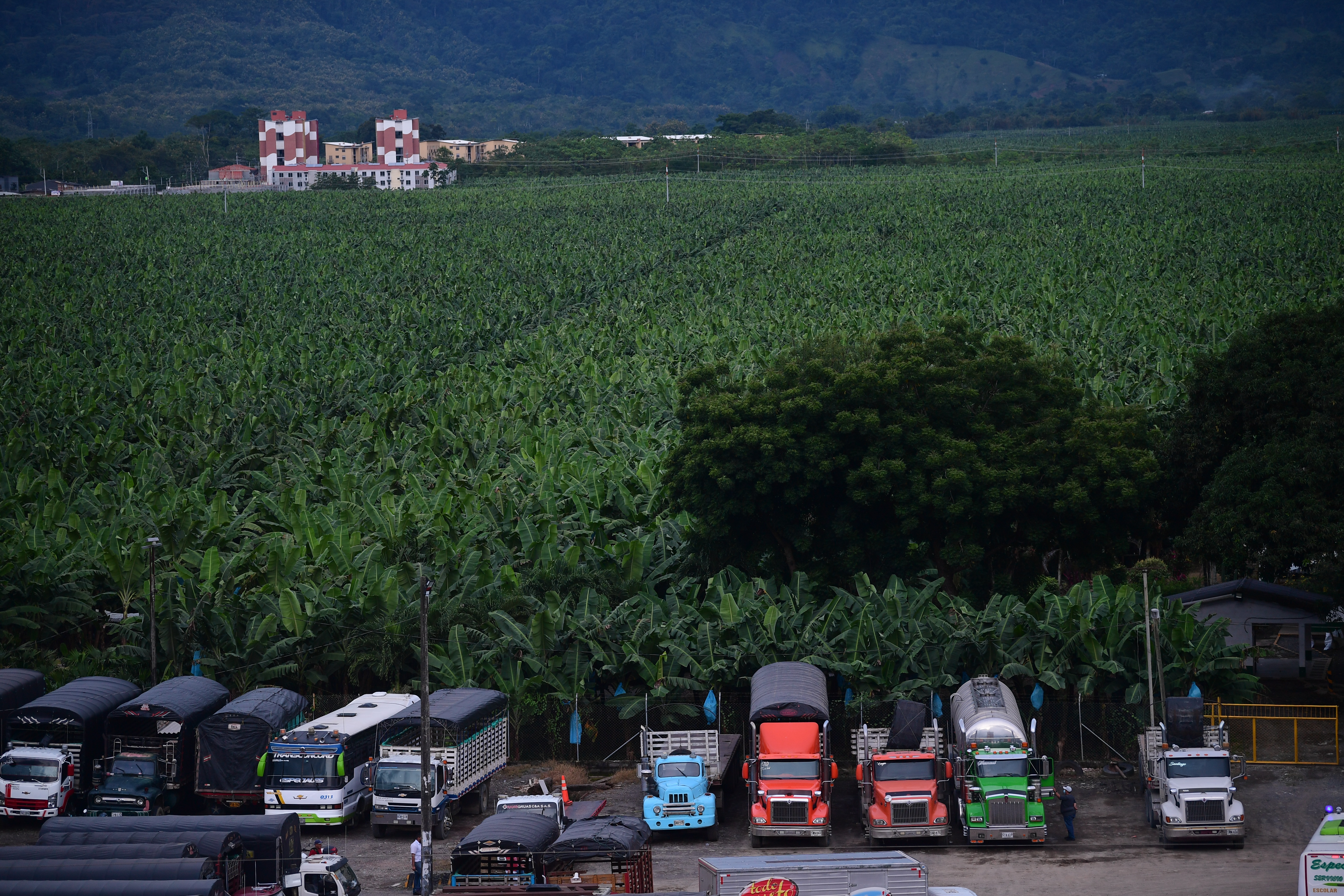 Los acuerdos que detuvieron un nuevo paro agrario en el Urabá Antioqueño