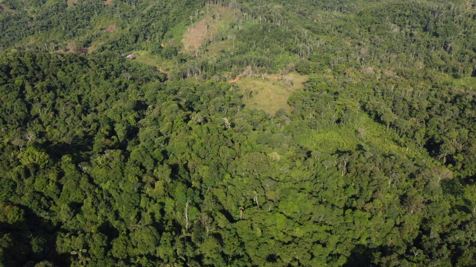 Las imágenes muestran puntos deforestados al interior del Parque Nacional Natural Paramillo, en los departamentos de Córdoba y Antioquia.