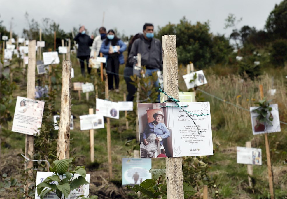 Las cenizas de víctimas de covid-19, fuente de vida de un páramo en Colombia