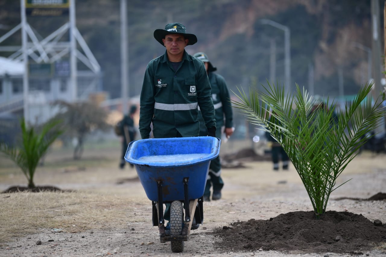 En imágenes: Así avanzó la jornada en Usme de plantación de 320 arbustos