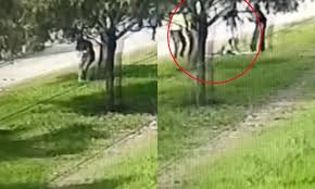 Víctima de intento de feminicidio denuncia que agresor podría quedar en libertad