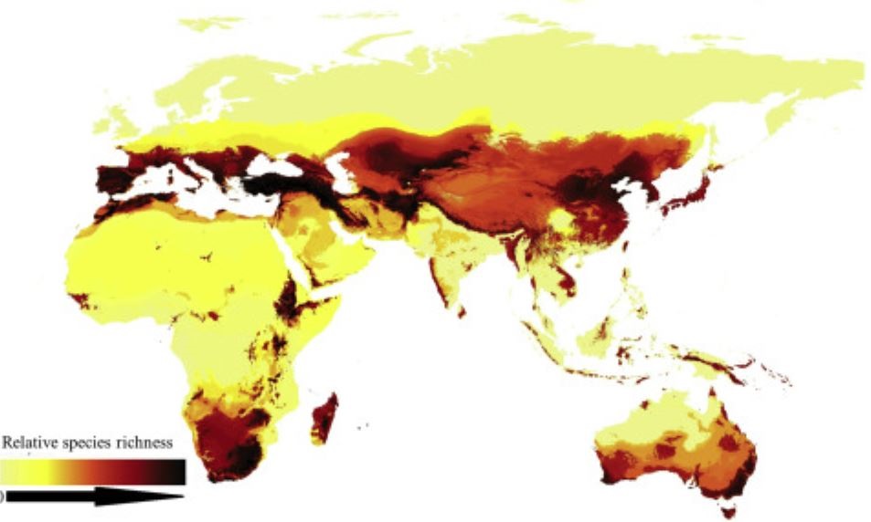 Patrones de distribuci�n de las abejas
ORR ET AL./CURRENT BIOLOGY
19/11/2020