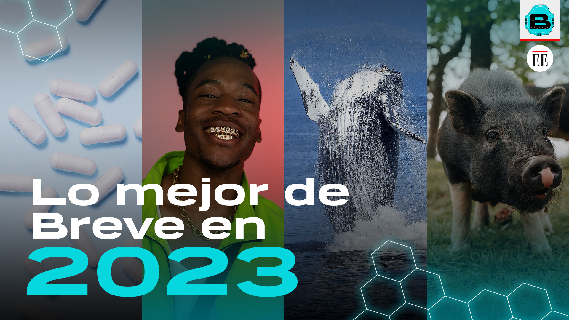 Riesgos de joyas en los dientes y carne de laboratorio: lo mejor de Breve en 2023