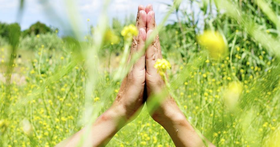 Cuatro claves para vivir en plenitud