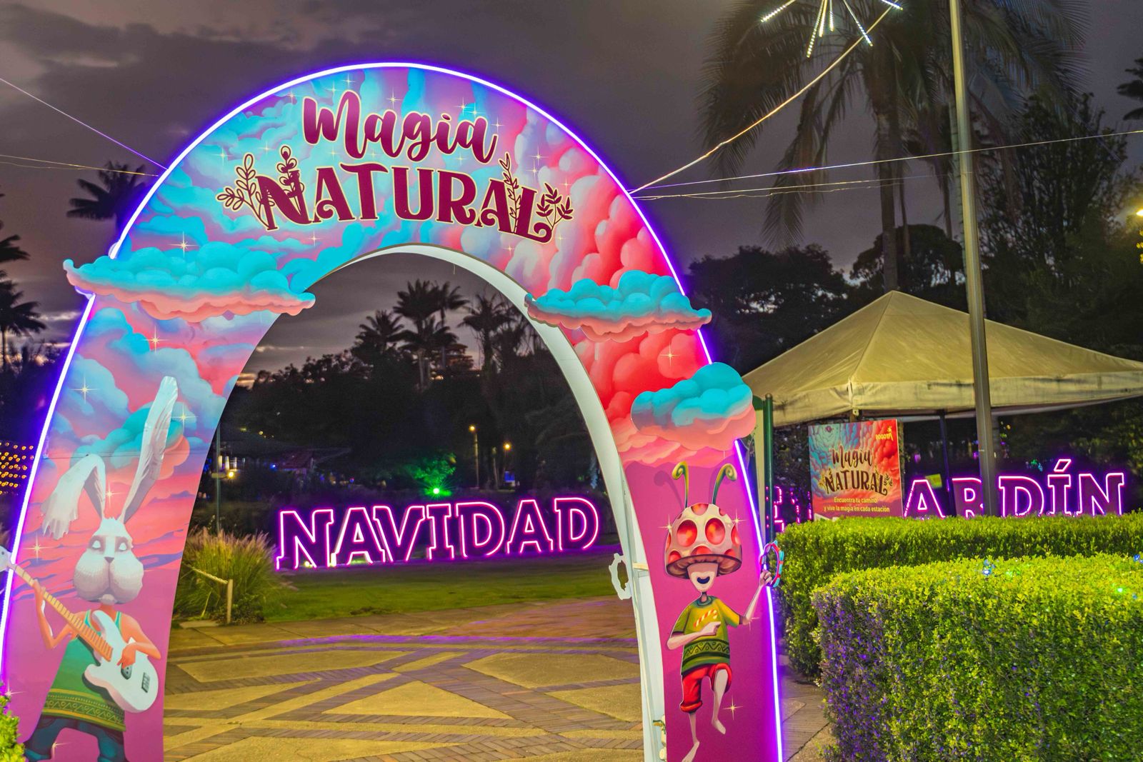 Del 7 al 23 de diciembre, los senderos iluminados del Jardín Botánico, junto con una programación especial, invitan a vivir una experiencia nocturna diferente.