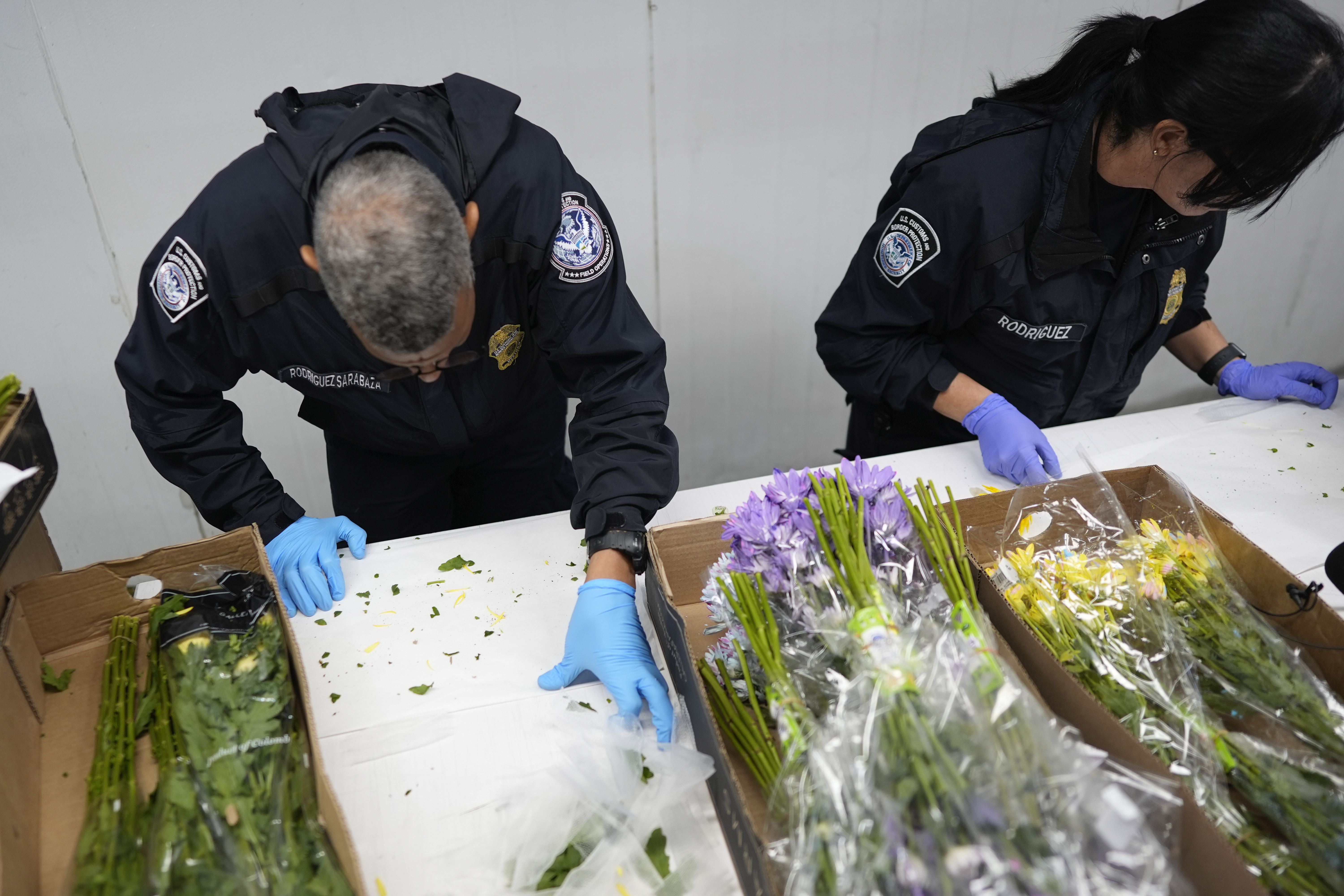 Control de flores colombianas en Estados unidos