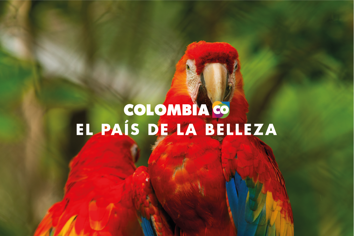 La Belleza Oculta de Colombia en la docuserie “ColombiAR”