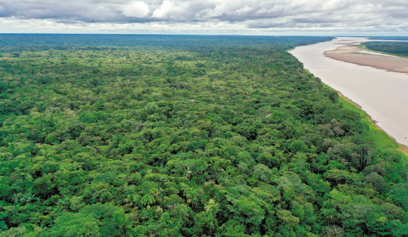 Un trozo de la Amazonia paró de secuestrar carbono y comenzó a emitirlo, ¿y ahora?