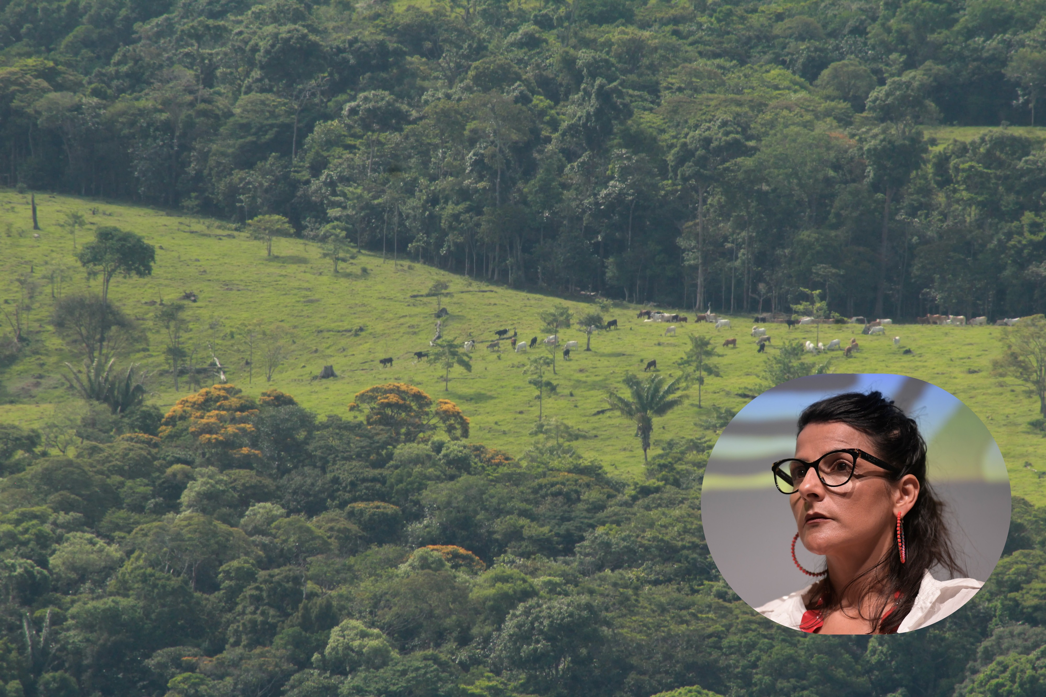 ¿Amazonia como una reserva sin petróleo? Primero hay que hacer consulta previa: Mininterior