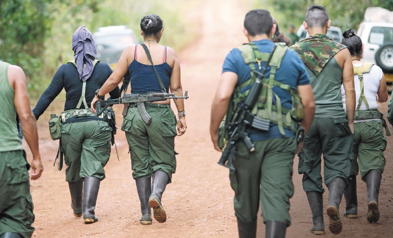 Circunscripción 11°: Política en el corazón del Bloque Sur de las Farc