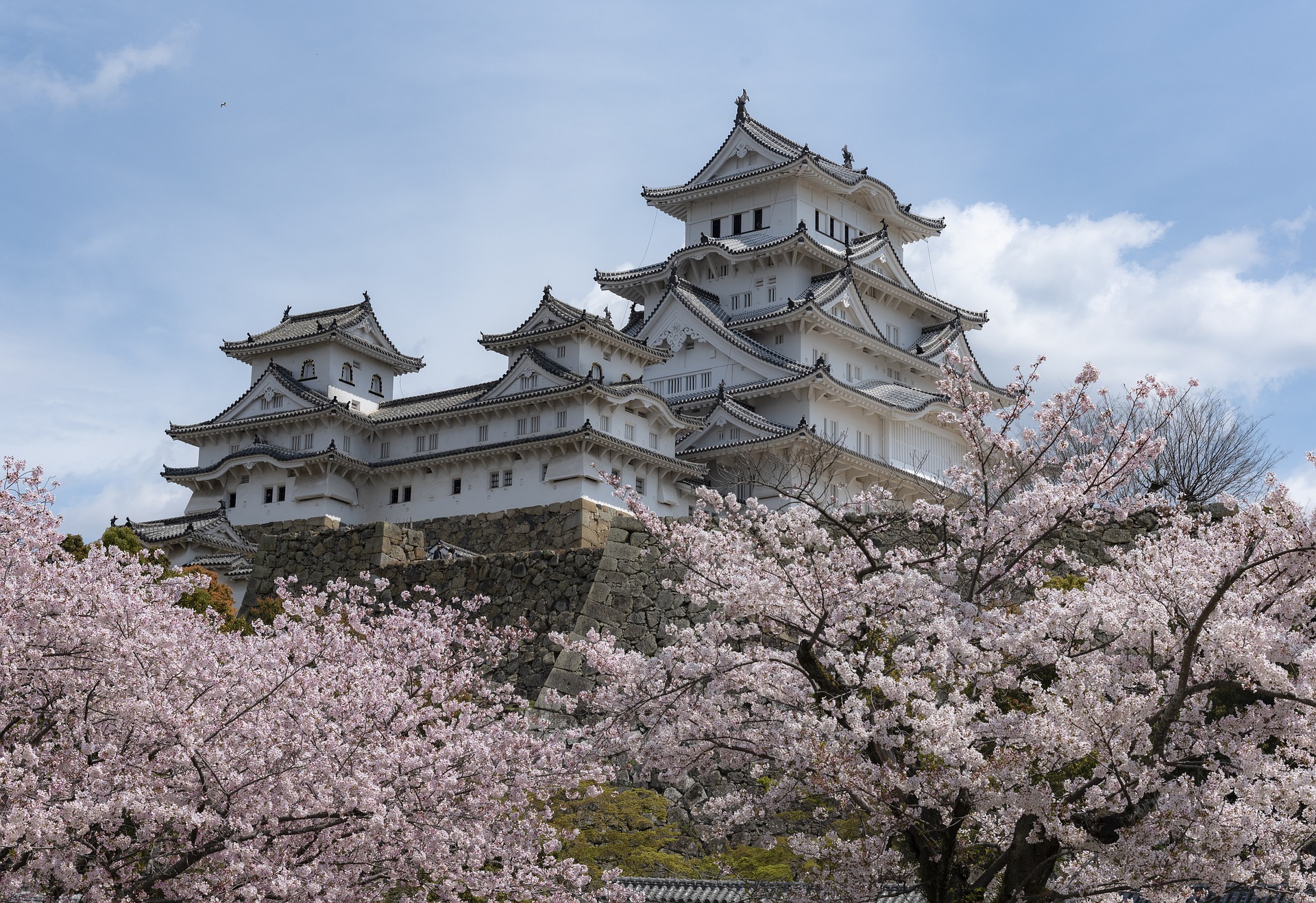 ¿Planeando un viaje a Japón? El país asiático relaja medidas para turistas
