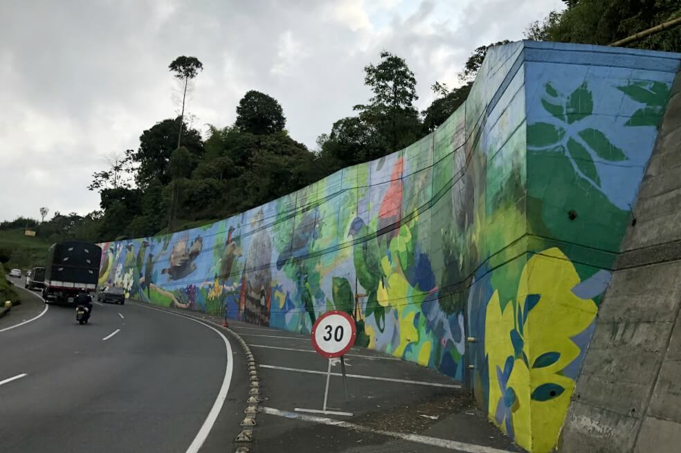 El mural de aves más grande del Eje Cafetero