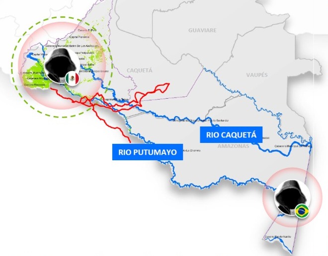 Mapa del informe de la inteligencia militar que sitúan a las mafias brasileras en territorio Colombia.