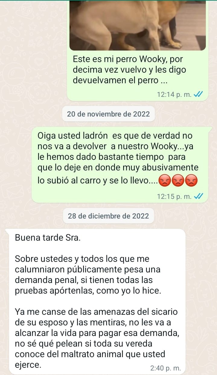 Conversación de WhatsApp de Adriana con el presunto ladrón de su perro Wooky.