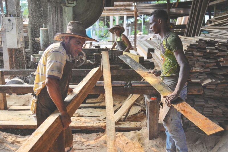 Bogotá, Cali y Villavicencio son los principales destinos de la madera ilegal de la Amazonia. / Fotos: EIA